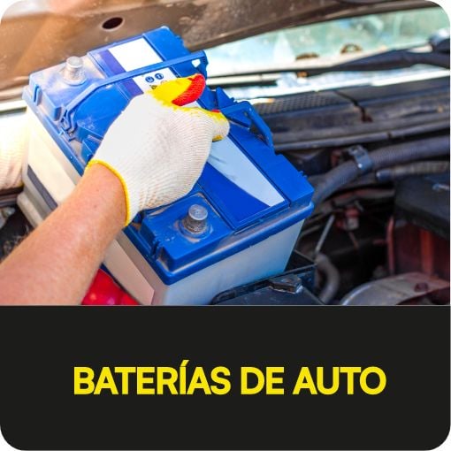 Contenido